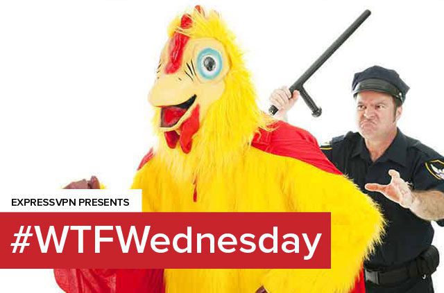 Possible Pakistani pigeon-spy probed by Punjab Police - #WTFWednesday