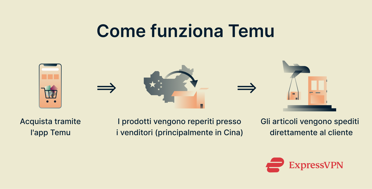 Infographic showing how Temu works.