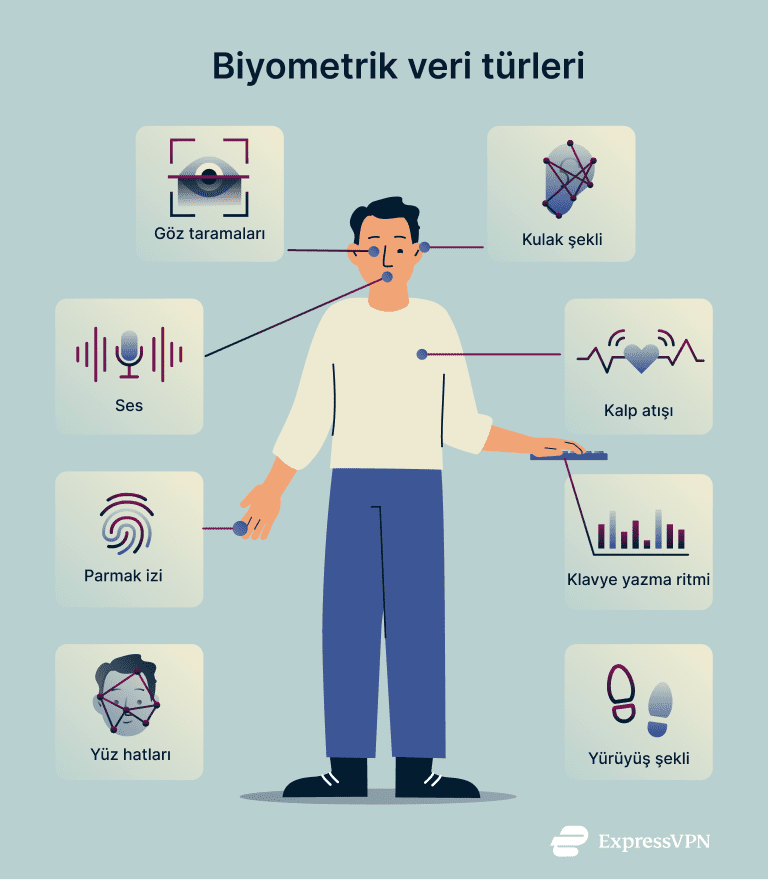 What Is Biometrics Types Of Biometrics 3 1