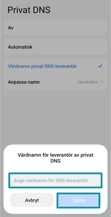 Enter The Dns Provider Settings Sv