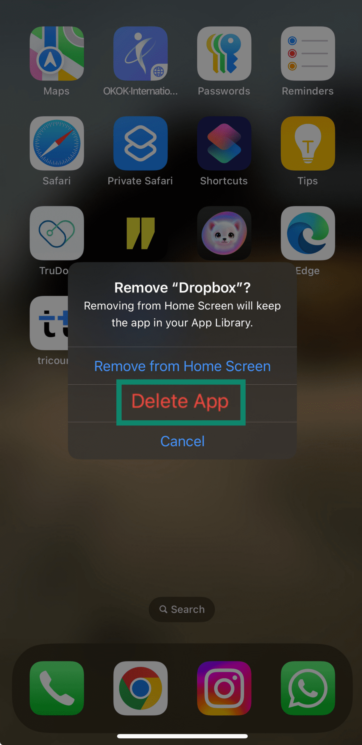 Confirm deletion on iOS by holding Delete App.