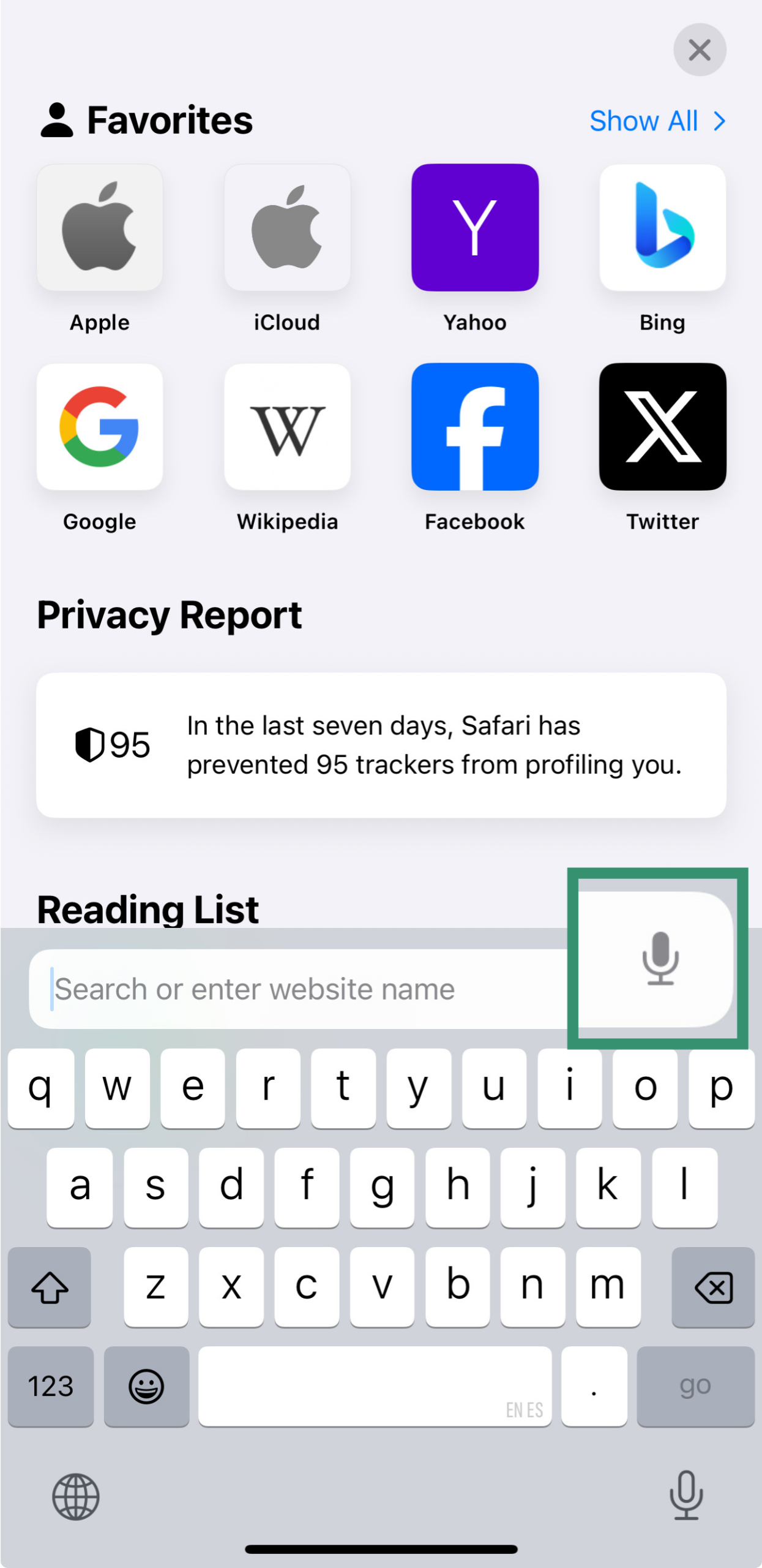 iPhone screen showing Safari voice search setting.