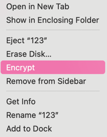Right-click menu for a USB flash drive in Disk Utility with the Encrypt option highlighted.