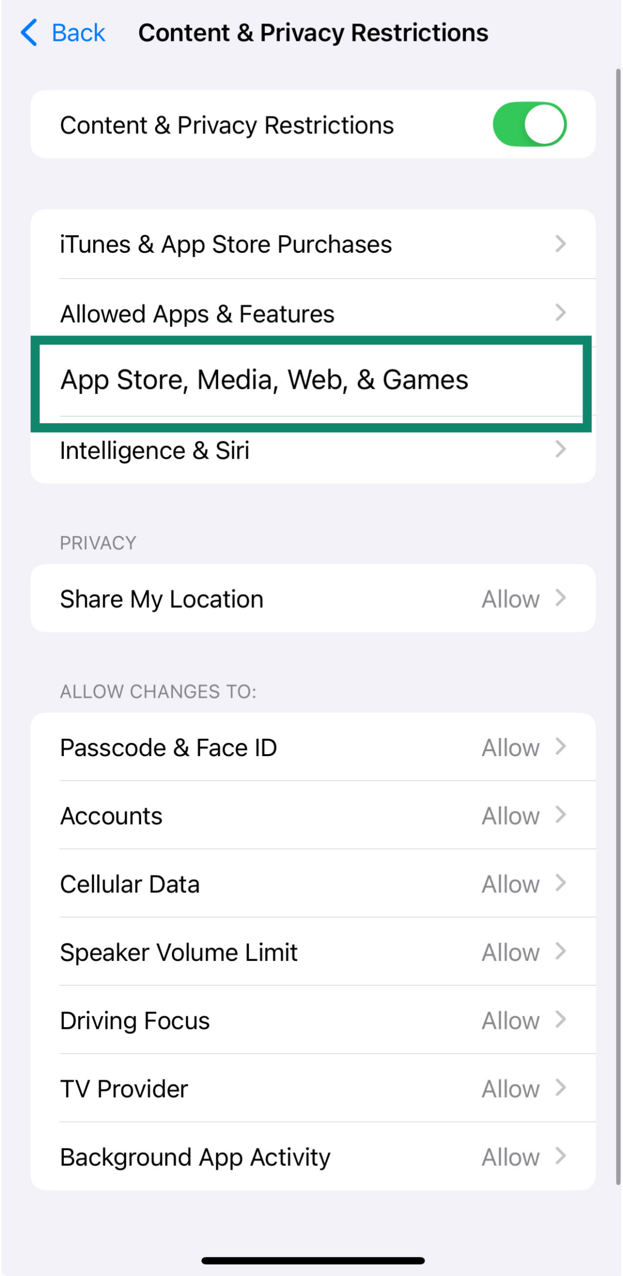App Store, Media, Web & Games restrictions menu on iPhone