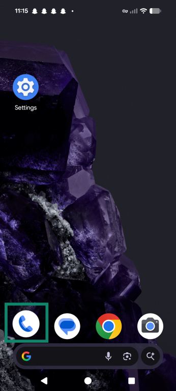 Tap the phone icon from your home screen.