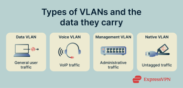 Types of VLANs