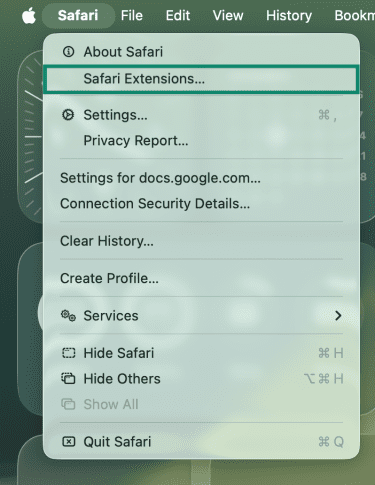 Navigating to the page that shows Safari Extensions.