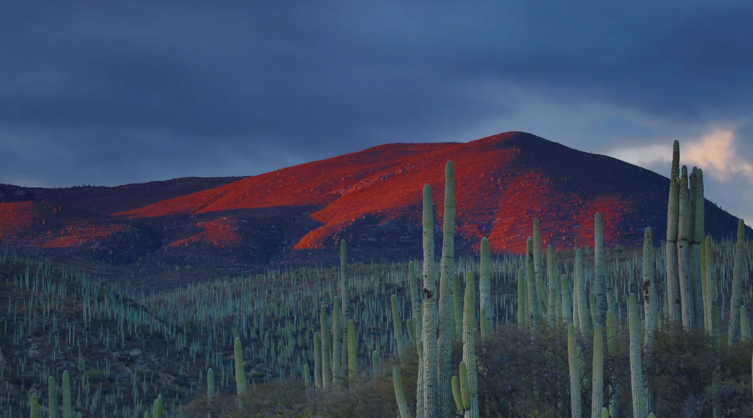 Last ned det beste VPN-et for Mexico i 2025