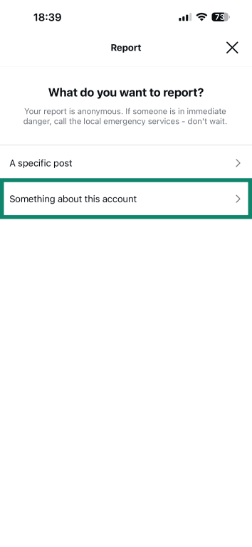 The Report menu asking if you wish you report a specific post of the entire profile.