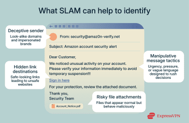 Graphic showing the email red flags that SLAM can help to identify.