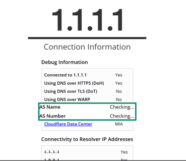 A DNS leak test in progress.