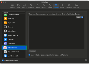 Safari Websites tab showing Notifications settings.