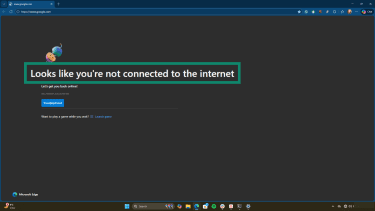"Can't reach this page" notice in browser
