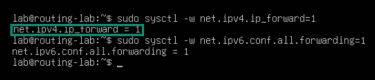 Command to enable IP forwarding temporarily for Linux.