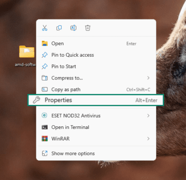 File properties on Windows.