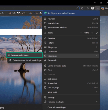 The "Manage extensions" option in Microsfot Edge's main menu.