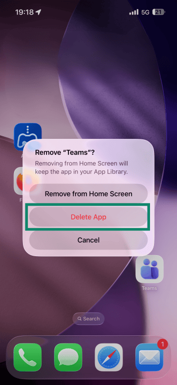 iOS' system prompt with Delete App highlighted.