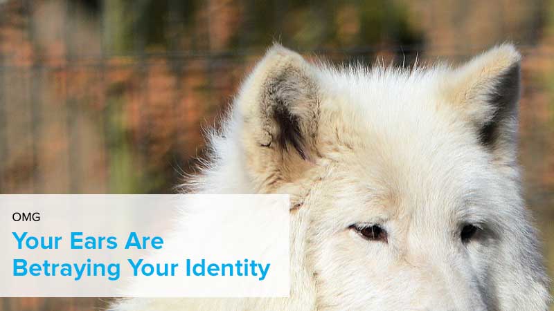 your ears are betraying your identity