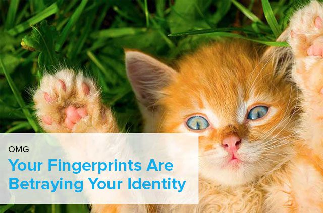 5 parts of your body that betray your identity