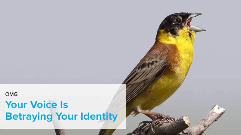 your voice is betraying your identity
