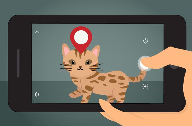 The website that knows where your cat lives