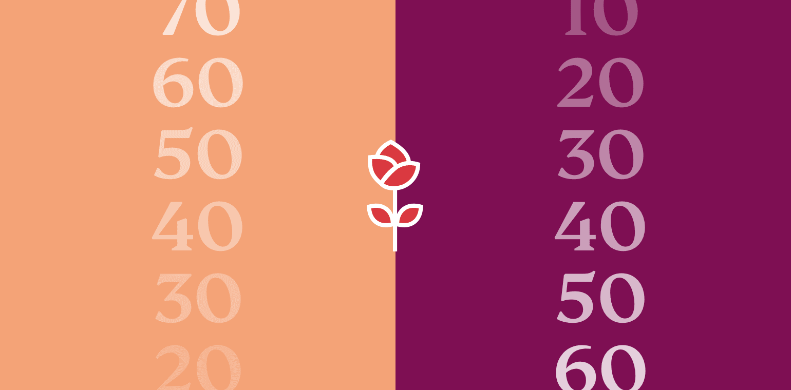 A dozen final roses: ‘The Bachelor’ by the numbers