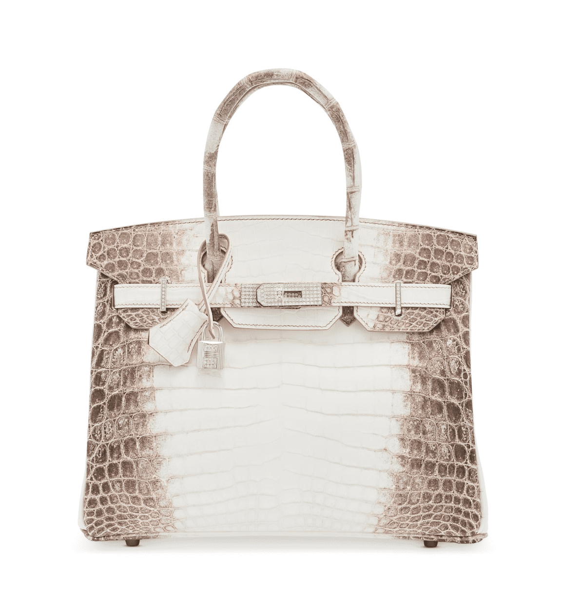 Hermés Himalaya Birkin