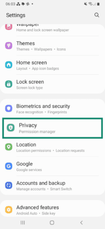 Image showing Android Privacy setting.