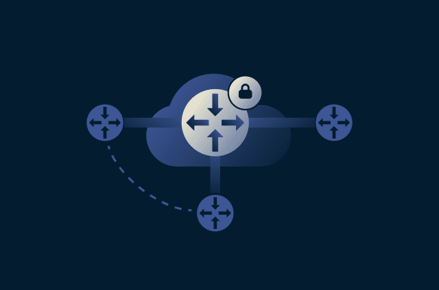 What is dynamic multipoint VPN (DMVPN)?